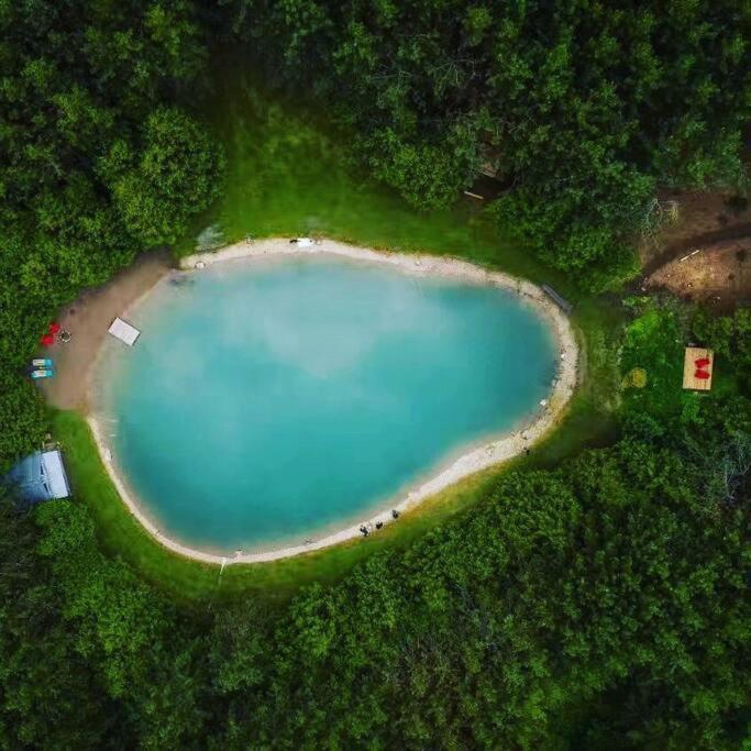 אורנג'וויל A Rustic Cabin In The Woods מראה חיצוני תמונה